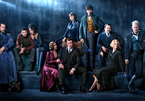 Fantastic Beasts 2 hấp dẫn với dàn sao cực 'khủng' của Hollywood