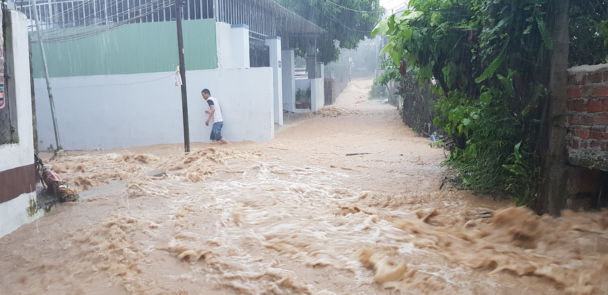 Nha Trang,Ngập lụt,bão số 8