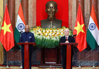 Tổng thống Ấn Độ: Tình cảm của người dân Việt chạm đến trái tim tôi