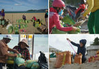 Nha Trang sau sạt lở: Dân đổ ra biển lấy cát gia cố nhà trước bão