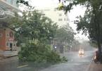 Bão số 9 áp sát Vũng Tàu, nhiều nơi mưa to, gió giật mạnh