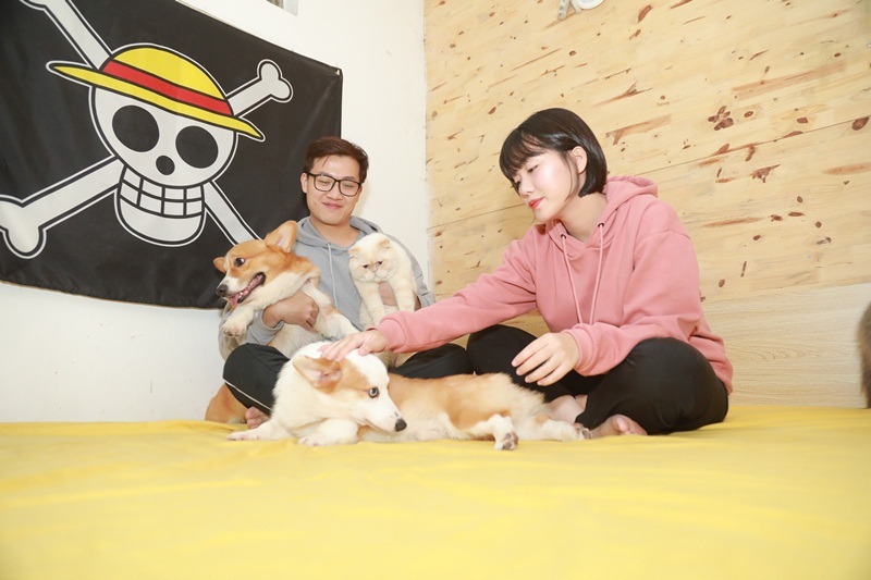 Tổ ấm nhiều chó mèo của vợ chồng MC Trần Ngọc 'Hãy chọn giá đúng'