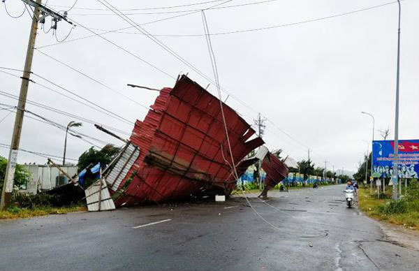 Bão số 9 'đánh' thẳng Vũng Tàu, cây xanh bật gốc la liệt