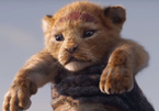 Trailer 'Vua sư tử' 2019 đạt lượng xem không thể tin nổi
