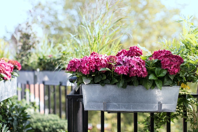 Cô gái trẻ đẹp đến nhà, chồng tái mặt khi bí mật bị lộ