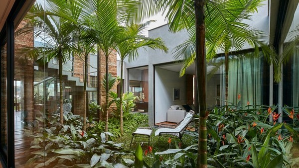 Vườn nhiệt đới sống động trong căn biệt thự nhà giàu