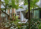 Vườn nhiệt đới sống động trong căn biệt thự nhà giàu
