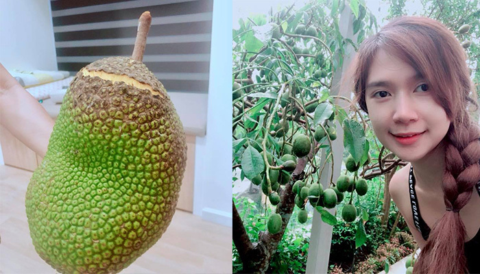 Sao Việt, Tin sao Việt, Tin tức sao Việt, sao viet, tin sao viet, tin tuc sao viet