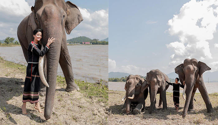 Sao Việt, Tin sao Việt, Tin tức sao Việt, sao viet, tin sao viet, tin tuc sao viet