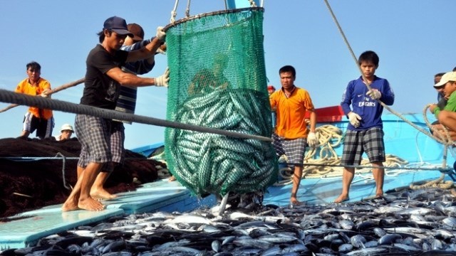 Bình Định: Ngư dân phải khai báo nguồn gốc thủy sản đánh bắt