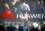 New Zealand cấm sử dụng công nghệ của tập đoàn Huawei trong dự án 5G