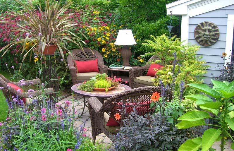 Bỏ cơ nghiệp theo nữ bác sĩ, nam giám đốc nhận kết đắng