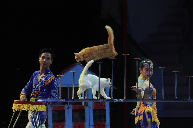 Hơn 70 nghệ sĩ xiếc sẽ diễu hành trên phố đi bộ Hồ Gươm