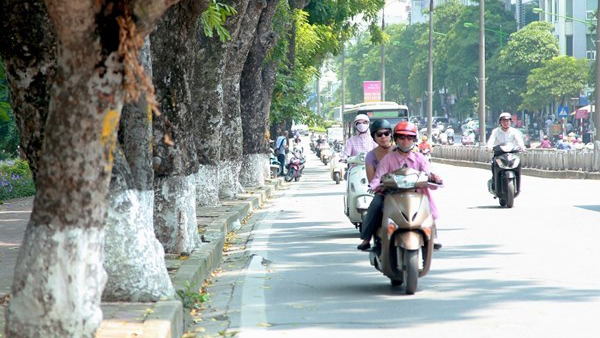 Dự báo thời tiết 1/12: Hà Nội sáng mưa, trưa ấm tưng bừng 29 độ