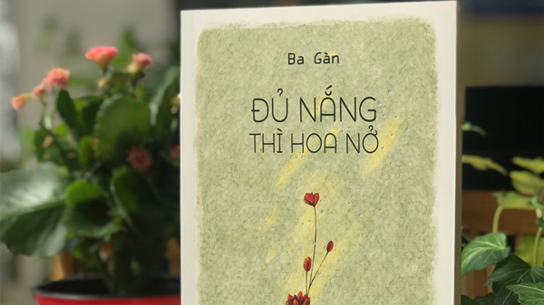 Thiền tâm cùng 