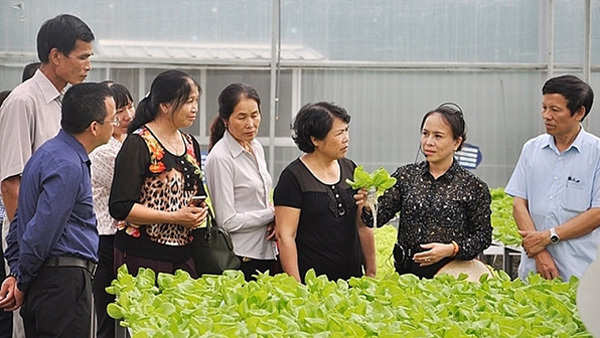 Độc đáo du lịch nông nghiệp công nghệ cao ở Quảng Ninh
