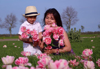Chuyện tình ngọt ngào của bà mẹ đơn thân Việt trên đất Hà Lan