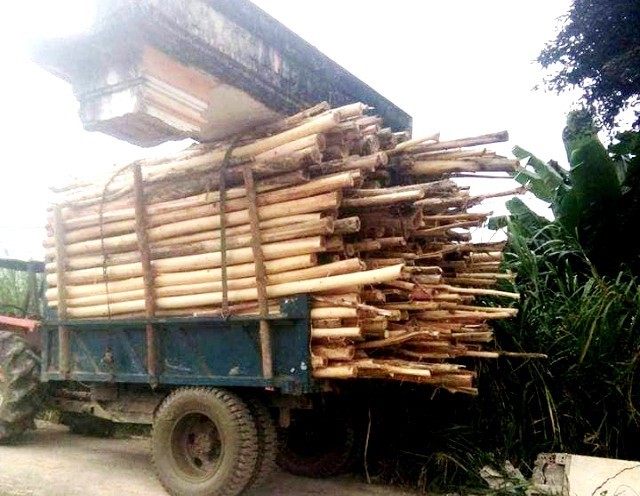 Xe gỗ 'chở' cả... cổng làng chạy trên đường