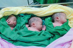 Bà bầu Nghệ An siêu âm thai đôi, trong lúc mổ đẻ phát hiện thêm bé thứ 3