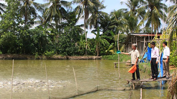 Khơi dậy tinh thần tự lực của hộ nghèo