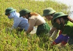 “Khát vọng Việt Nam” khi tụt hậu không còn là "nguy cơ”