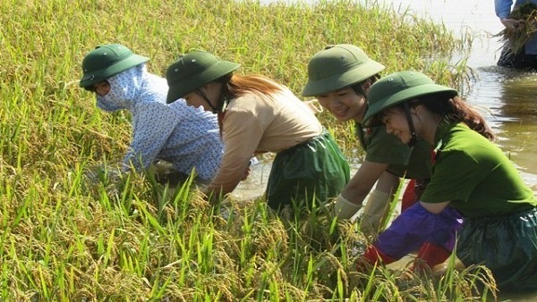 “Khát vọng Việt Nam” khi tụt hậu không còn là 