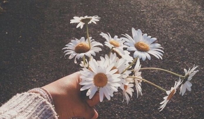 Nữ sinh ưu tú tử vong sau khi sử dụng ma tuý và quan hệ với bạn trai