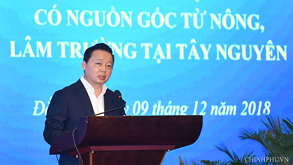 Bố trí gần 17.000ha đất cho đồng bào Tây Nguyên