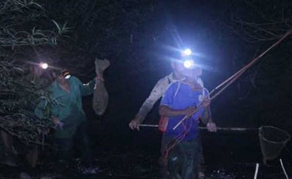 Đêm săn 'vũ nữ chân dài' ở miền gái đẹp xứ Tuyên