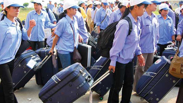 Dân huyện nghèo đi xuất khẩu LĐ được vay 100% vốn ưu đãi?