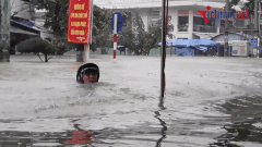 Quảng Nam mưa ngập kinh hồn: 'Bơi' đi lánh nạn ồn ào khắp nơi