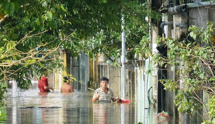 Mưa tạnh từ lâu vẫn lạch bạch trong biển nước