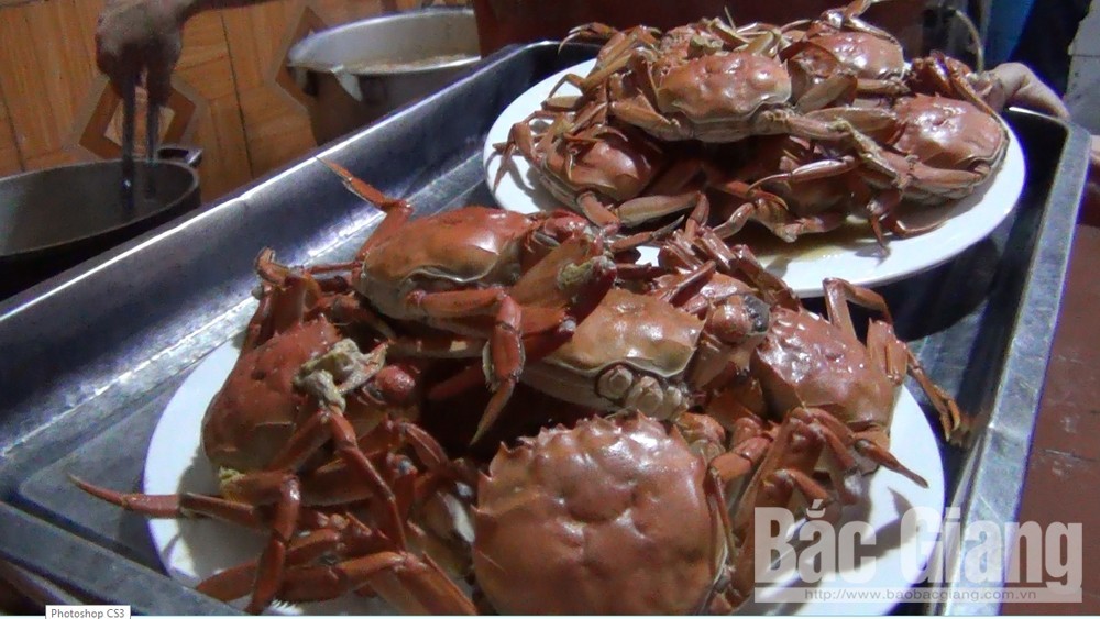 Kỳ lạ Bắc Giang: Loài cua 2 càng phủ da, mọc lông