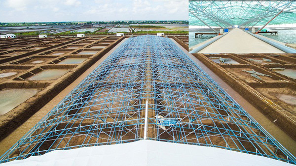 Kỹ thuật chăn nuôi Xây dựng chuồng trại nuôi nhốt vịt hoàn toàn  MVietQ