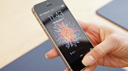 Khai tử iPhone SE là quyết định sai lầm của Apple Khai tử iPhone SE là quyết định sai lầm của Apple