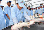 Thủ tướng dự khánh thành khu sản xuất cá tra giống trên sông Tiền
