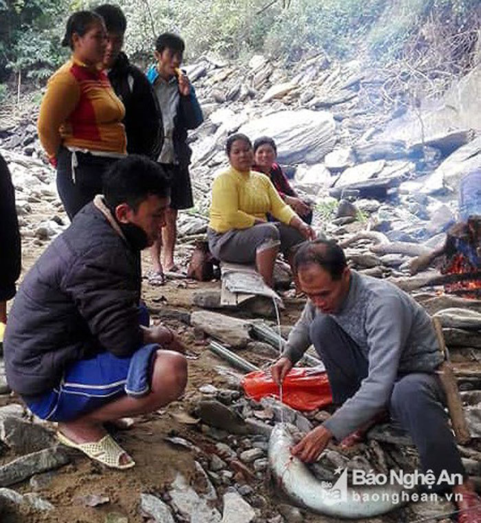 Bí ẩn miền Tây xứ Nghệ: Loài cá nặng hàng yến, dài cả mét Ca-khung-4