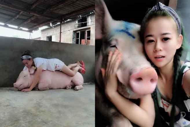 Sự thật xe tải chở lợn bị lật người dân thi nhau hôi của ở Lạng Sơn