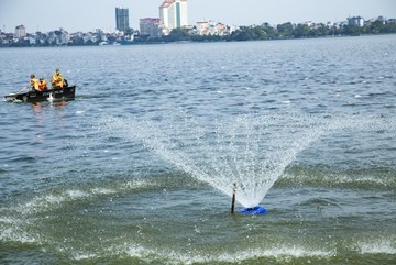 Chết 200 tấn cá: Hồ Tây nguy cơ thành hồ chết