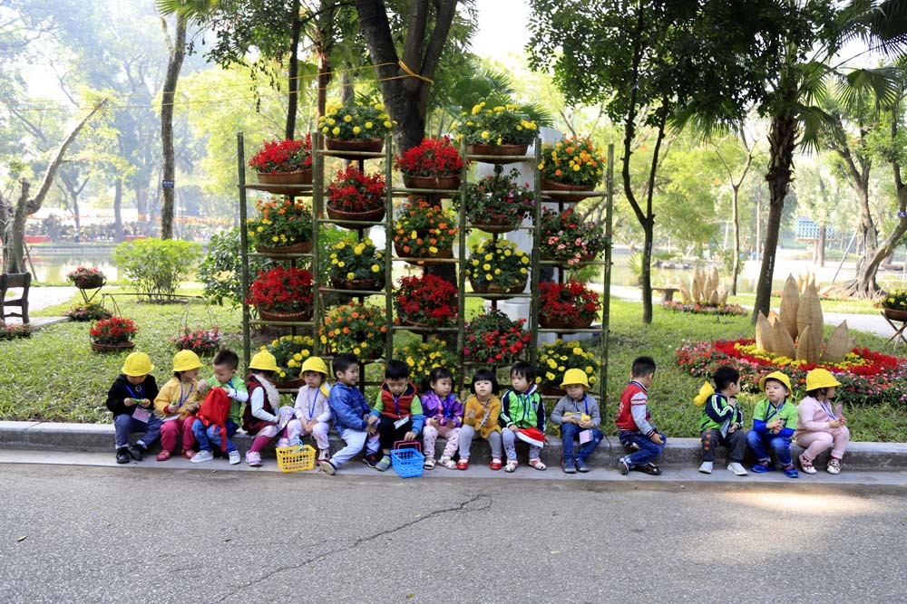 Say sưa chụp ảnh miễn phí ở đường hoa đẹp mê ly giữa Thủ đô