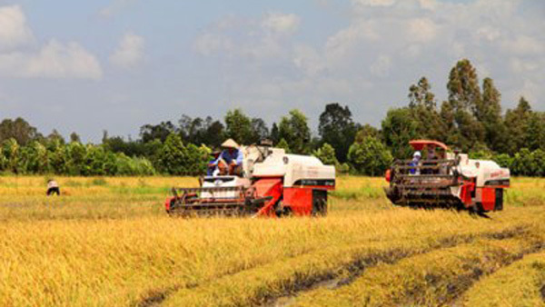 Agribank: Tiếp tục khẳng định vai trò chủ lực trong đầu tư 'Tam nông'