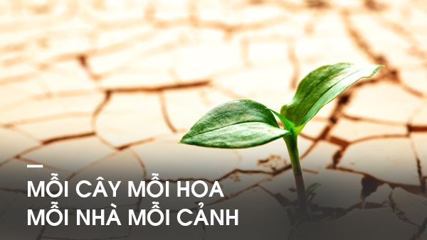 Cuộc sống mỗi người đều là những điều lạ kỳ