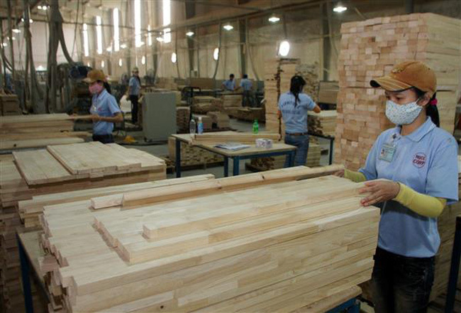 Khai thác 27 triệu m3 gỗ: Kỷ lục mới của Việt Nam