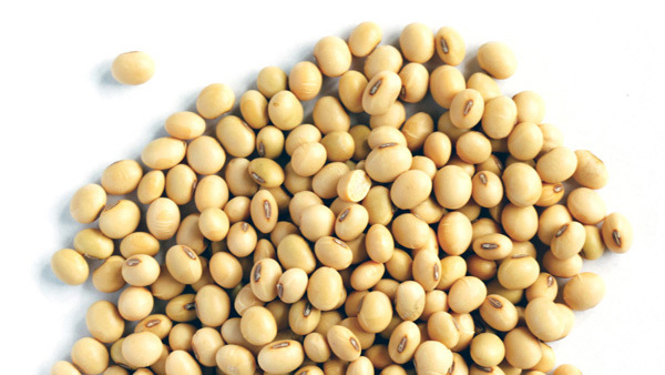 Thưởng thức đậu nành theo phong cách Singapore