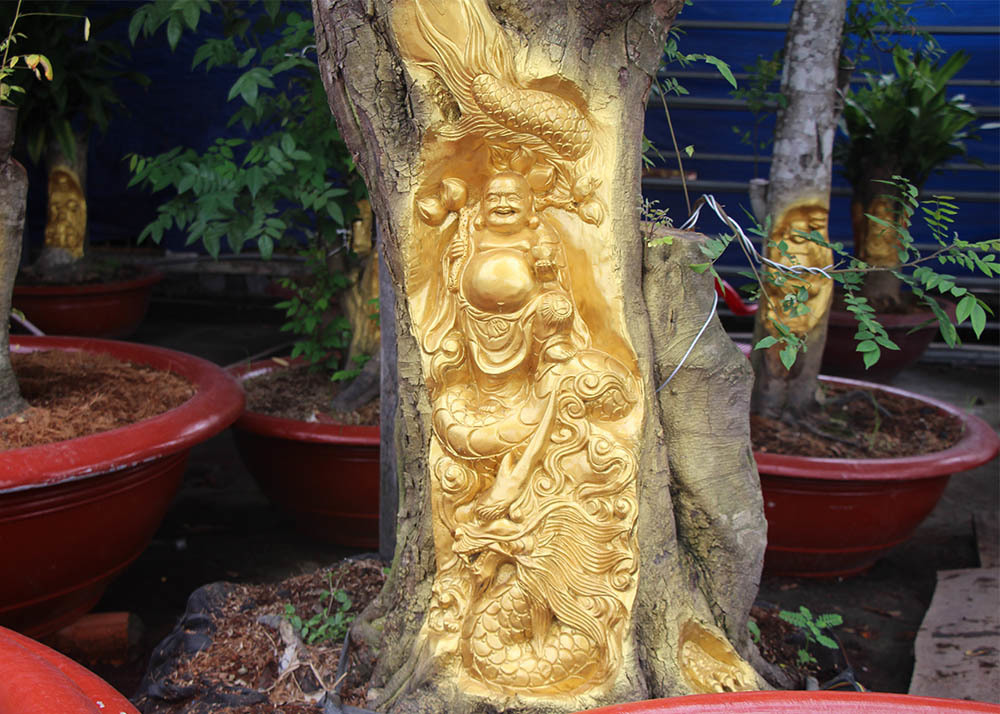 Chuyện lạ miền Tây: Quan Âm Bồ Tát cưỡi rồng vàng hiện hình trên cây khế