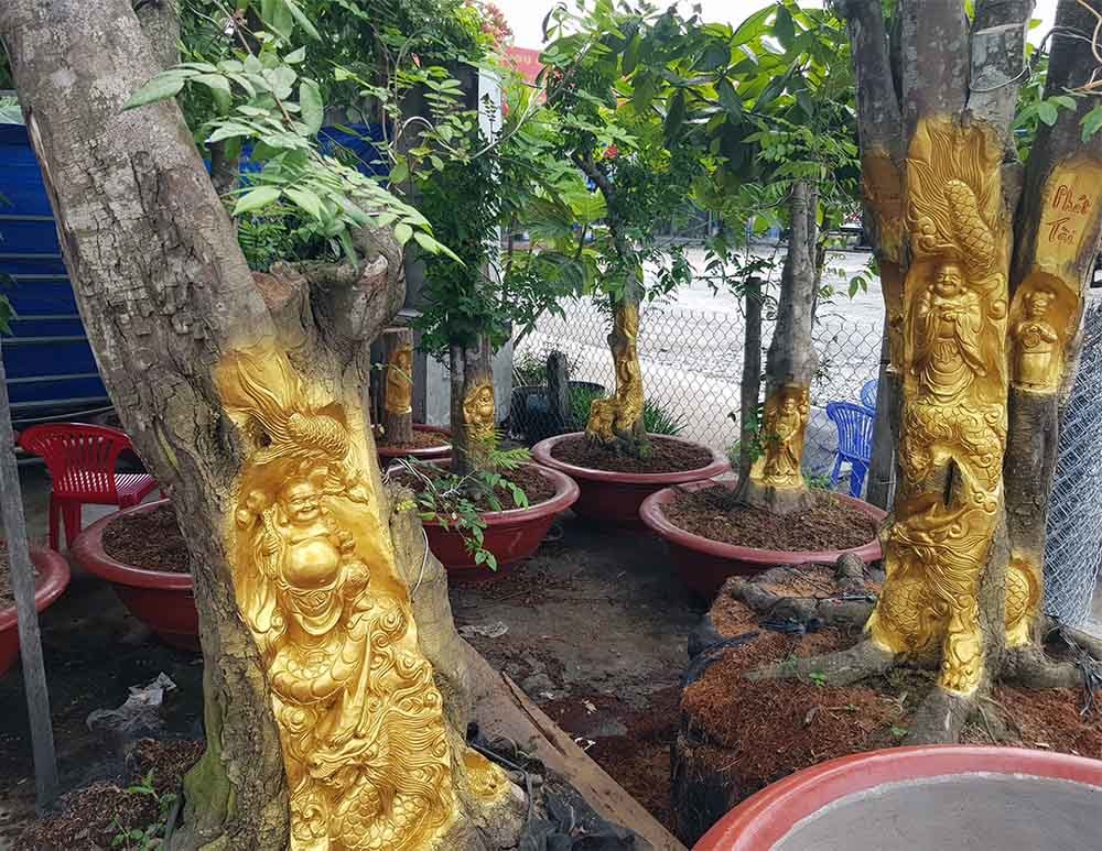 Chuyện lạ miền Tây: Quan Âm Bồ Tát cưỡi rồng vàng hiện hình trên cây khế(+video) Tuong-phat-di-lac-cuoi-rong-long-tranh-ho-dau-hien-hinh-tren-cay-khe-man-gia-21