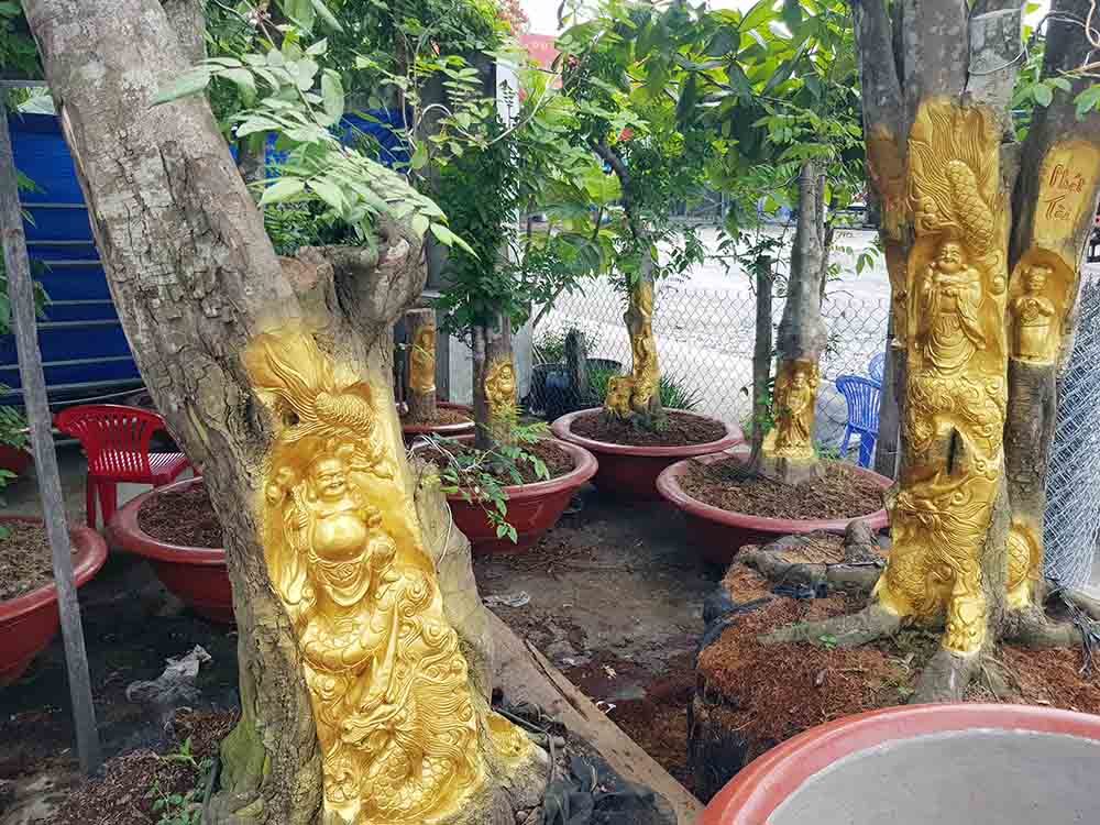 Chuyện lạ miền Tây: Quan Âm Bồ Tát cưỡi rồng vàng hiện hình trên cây khế(+video) Tuong-phat-di-lac-cuoi-rong-long-tranh-ho-dau-hien-hinh-tren-cay-khe-man-gia-5