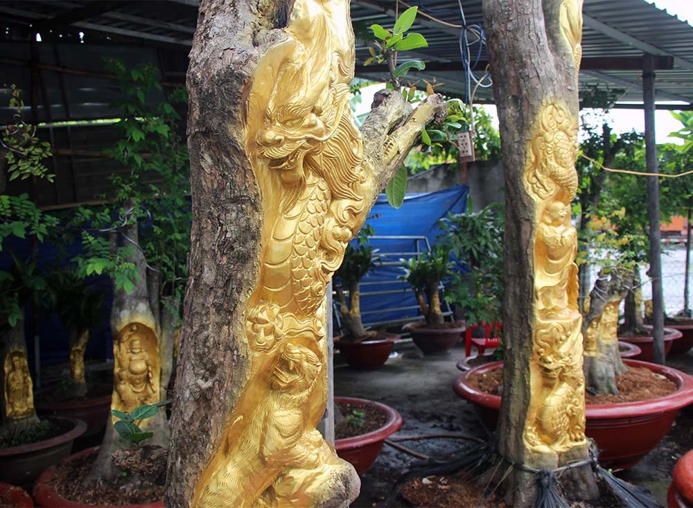 Chuyện lạ miền Tây: Quan Âm Bồ Tát cưỡi rồng vàng hiện hình trên cây khế