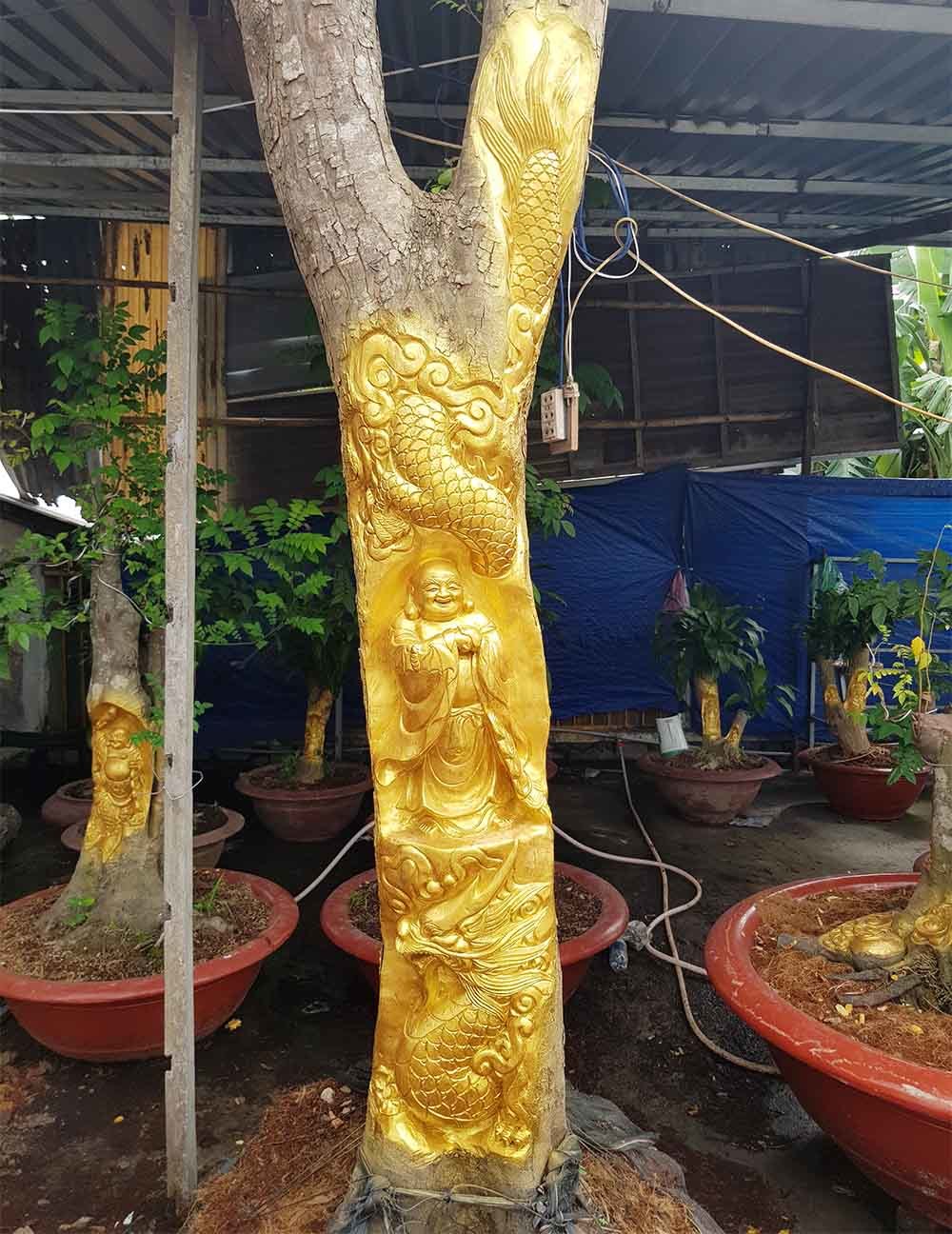 Chuyện lạ miền Tây: Quan Âm Bồ Tát cưỡi rồng vàng hiện hình trên cây khế(+video) Tuong-phat-di-lac-cuoi-rong-long-tranh-ho-dau-hien-hinh-tren-cay-khe-man-gia