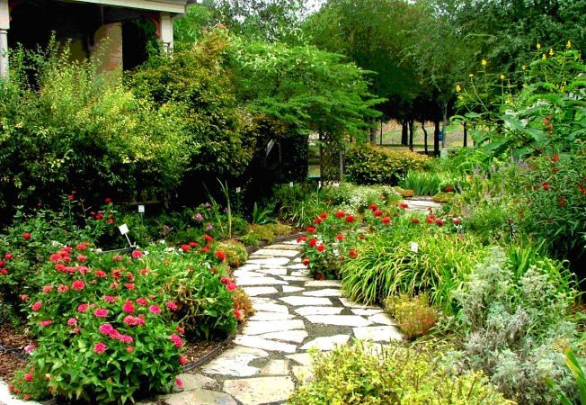 Nam kỹ sư quyết ly hôn vì vợ cai sữa sớm cho con